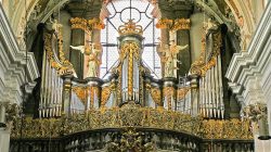 Organ